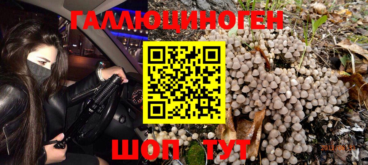 Верхний Уфалей  Псилоцибиновые грибы Magic Shrooms  Псилоцибиновые грибы MAGIC MUSHROOMS  Вход с VPN 